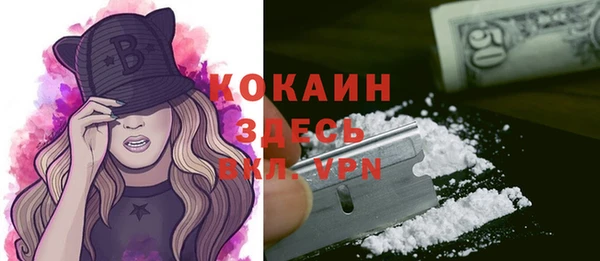 мяу мяу мука Белокуриха
