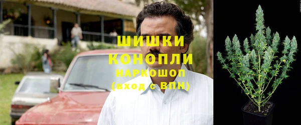 мяу мяу мука Белокуриха